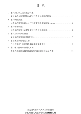 经验交流系列第733期（6篇）荆门市委人大工作会议发言材料汇编
