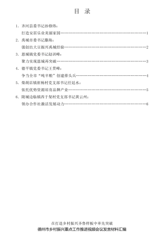 经验交流系列第738期（6篇）德州市乡村振兴重点工作推进视频会议发言材料汇编