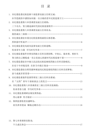 经验交流系列第744期（15篇）怀化市纪委监委优秀青年干部座谈会发言材料汇编
