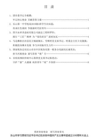 经验交流系列第760期（6篇）乐山市学习贯彻习近平总书记在庆祝中国共产主义青年团成立100周年大会上的重要讲话精神座谈会发言材料汇编