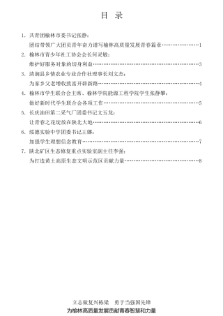 经验交流系列第764期（7篇）榆林市学习贯彻庆祝中国共产主义青年团成立100周年大会精神座谈会部分青年代表发言材料汇编