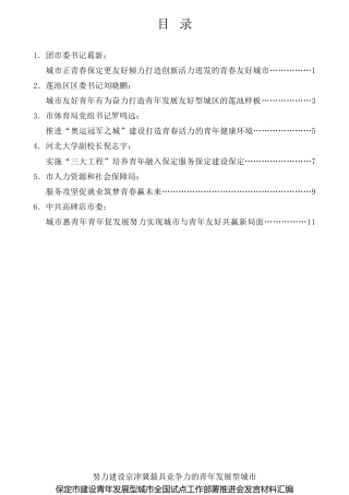 经验交流系列第808期（6篇）保定市建设青年发展型城市全国试点工作部署推进会发言材料汇编