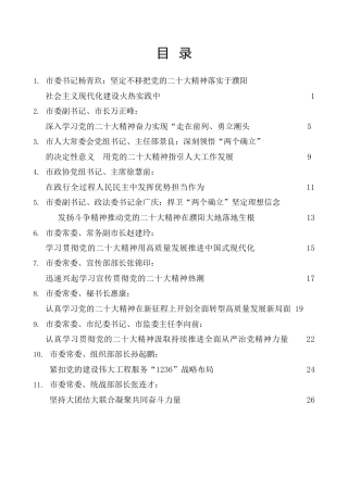 经验交流系列第867期（13篇）濮阳市13位市领导学习二十大精神发言材料汇编（盛会）