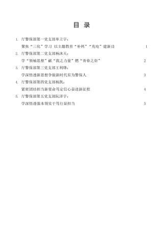 经验交流系列第969期（5篇）湖南省公安厅警保部党总支“以学铸魂践忠诚”专题研讨发言材料汇编（主题教育）