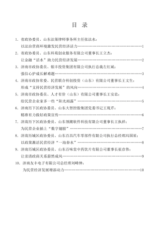 经验交流系列第1069期（10篇）山东省市区三级政协委员民营企业家座谈会发言材料汇编