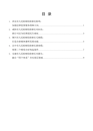 经验交流系列第1131期（5篇）陕西省检察长会议发言材料汇编