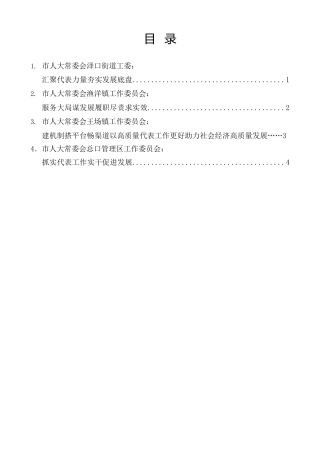 经验交流系列第1142期（4篇）潜江市人大工作座谈会发言材料汇编