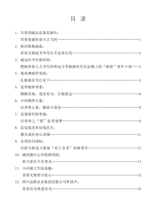 经验交流系列第1178期（12篇）威远县年轻干部座谈会发言材料汇编（年轻干部）