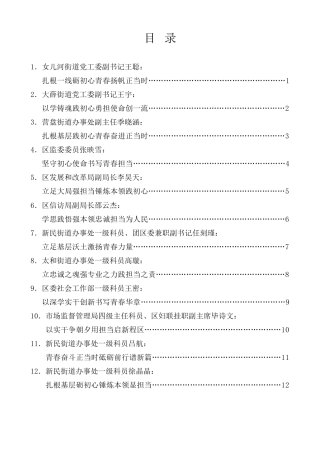 经验交流系列第1308期（20篇）太和区年轻干部座谈会发言材料汇编（青年干部）