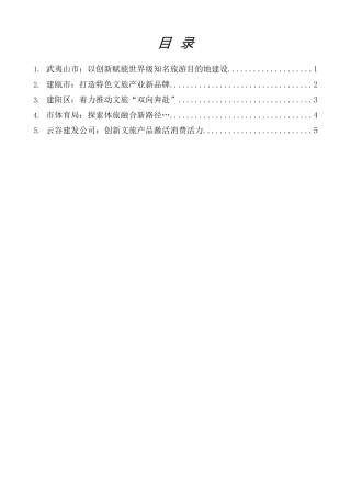 经验交流系列第1347期（5篇）2025年南平市文旅经济发展大会代表交流发言材料汇编
