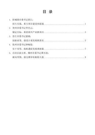 经验交流系列第1358期（5篇）广西部分设区市主要负责同志在2025年全区年中工作会议暨三季度经济发展调度会上的发言材料汇编