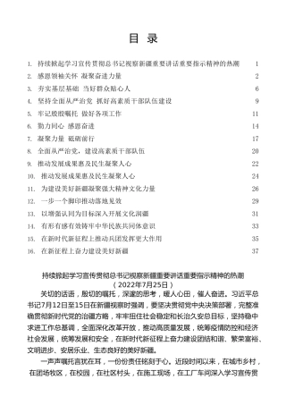 热点系列第412期（16篇）学习贯彻习近平总书记视察新疆重要讲话重要指示精神心得体会汇编
