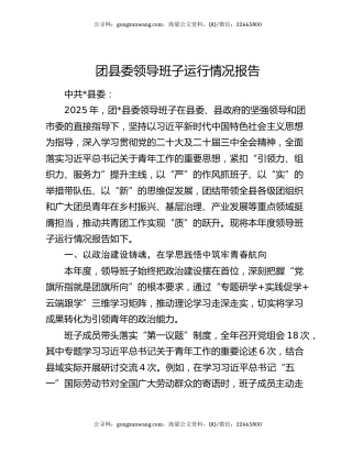 团县委领导班子运行情况报告