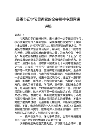 县委书记学习贯彻党的二十届四中全会精神专题党课讲稿