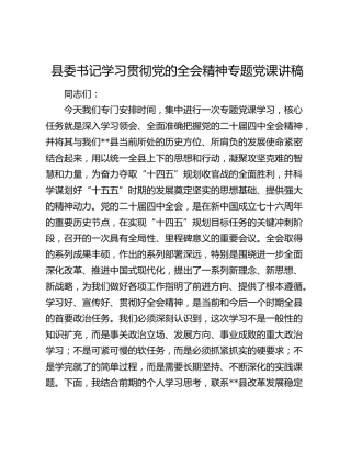 县委书记学习贯彻党的二十届四中全会精神专题党课讲稿​
