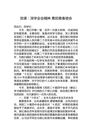 党课：深学四中全会精神 勇担青春使命