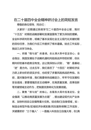 在二十届四中全会精神研讨会上的简短发言
