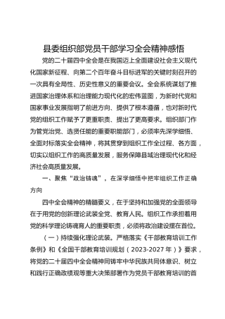 县委组织部党员干部学习四中全会精神感悟