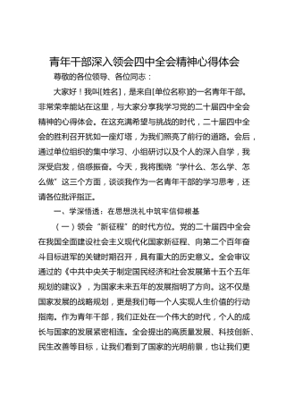 青年干部深入领会四中全会精神心得体会