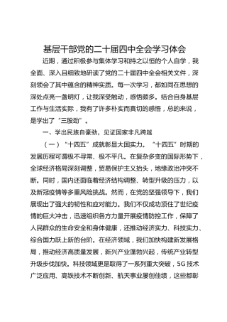 基层干部党的二十届四中全会学习体会