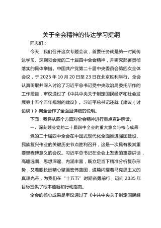 关于四中全会精神的传达学习提纲