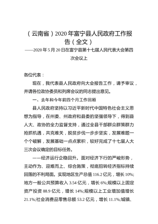 （云南省）2020年富宁县人民政府工作报告（全文）