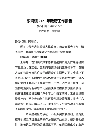 2021年东洞镇政府工作报告