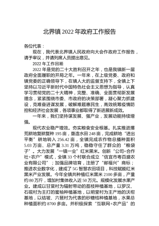 北界镇2022年政府工作报告（20230105）