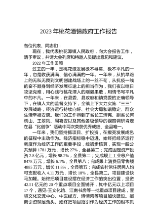 2023年桃花潭镇政府工作报告（20230117）