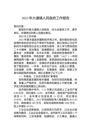 2023年大通镇人民政府工作报告（20230113）