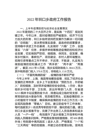 2022年圳口乡政府工作报告（20221201）