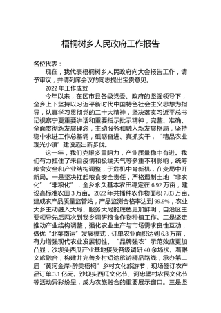 梧桐树乡人民政府工作报告（20230301）
