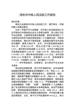 茂名市中级人民法院工作报告（20230208）