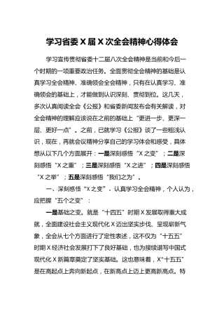 学习省委X届X次全会精神心得体会