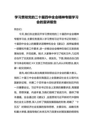 学习贯彻党的二十届四中全会精神专题学习会的宣讲报告