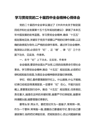 学习贯彻党的二十届四中全会精神心得体会（5）