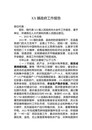 XX镇政府工作报告（20230717）