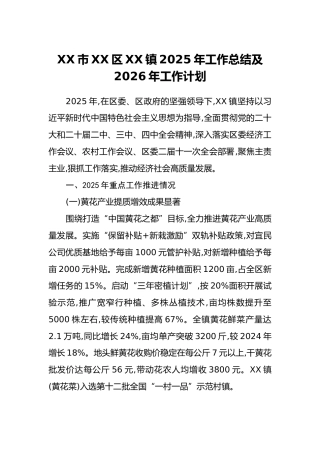 XX市XX区XX镇2025年工作总结及2026年工作计划