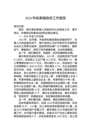 2024年柘皋镇政府工作报告
