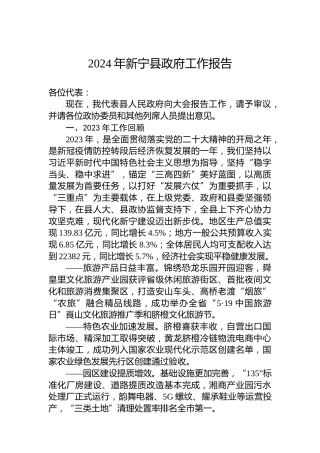 2024年新宁县政府工作报告