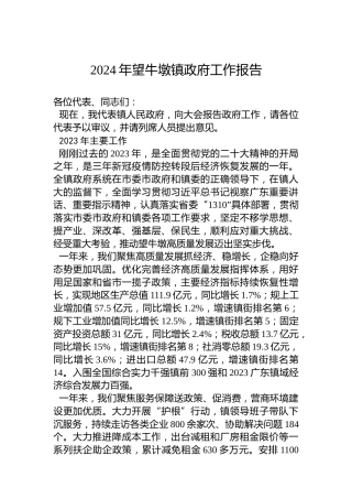 2024年望牛墩镇政府工作报告(20240205)