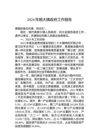 2024年那大镇政府工作报告