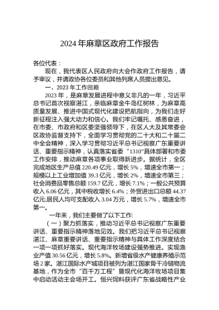 2024年麻章区政府工作报告