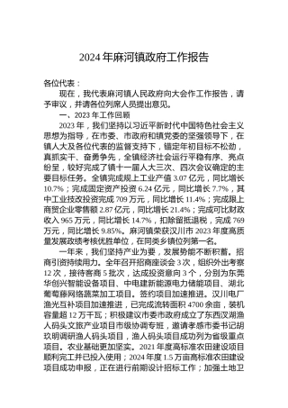 2024年麻河镇政府工作报告