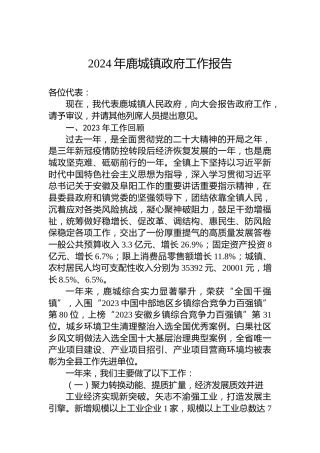 2024年鹿城镇政府工作报告