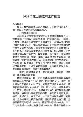 2024年花山镇政府工作报告　（20240205）
