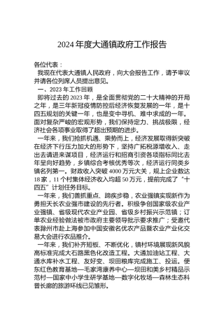 2024年度大通镇政府工作报告（20240112）