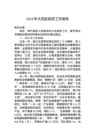 2024年大同区政府工作报告(20240108)