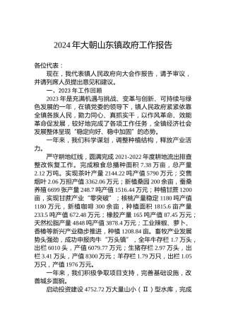 2024年大朝山东镇政府工作报告（20240111）