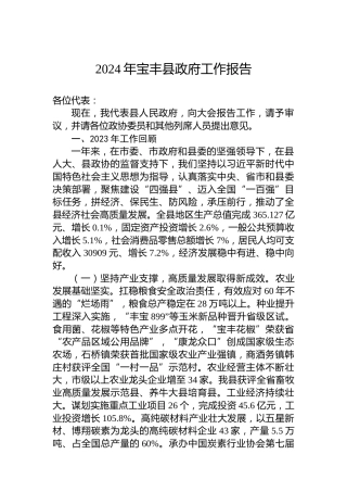 2024年宝丰县政府工作报告